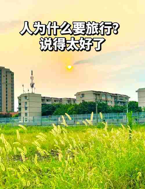 让你的旅行之旅别样精彩，探索世界，让旅途充满惊喜，世界探索之旅，别样精彩，惊喜连连