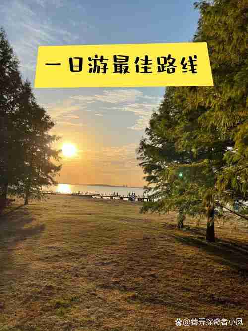 让你的旅行之旅别样精彩