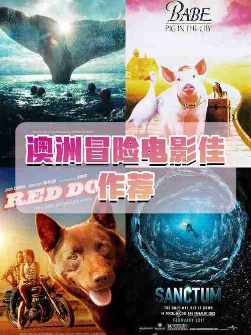 在澳洲的奇迹，如何运用独特的技巧和策略创造非凡成就