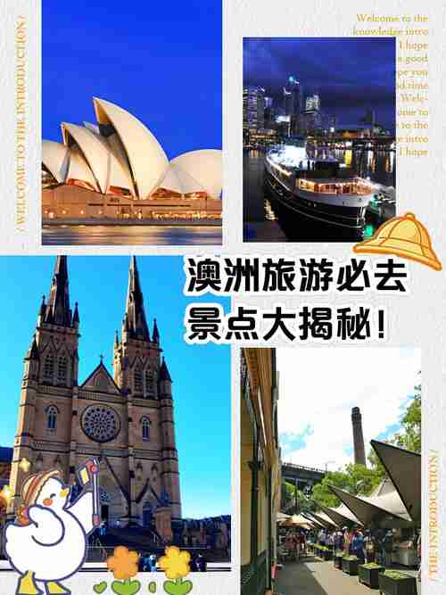 澳洲的魅力——5个实用技巧，让你不虚此行，澳大利亚，一个魅力无穷的国家