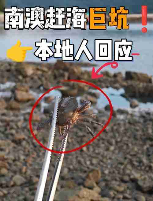 惊！在澳华人必看：省5000元+提速30天的避坑秘籍